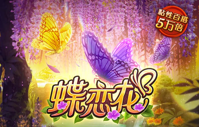 诺亚体育app官网入口
